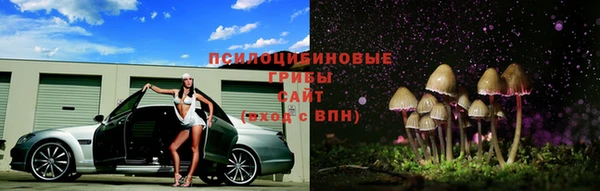 2c-b Кодинск