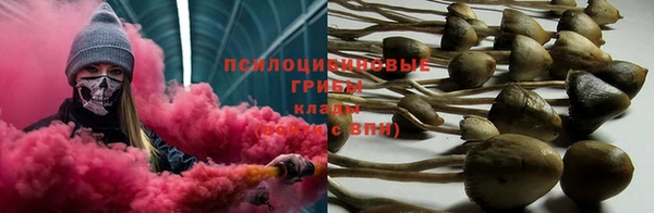 2c-b Кодинск