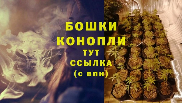 хмурый Козловка