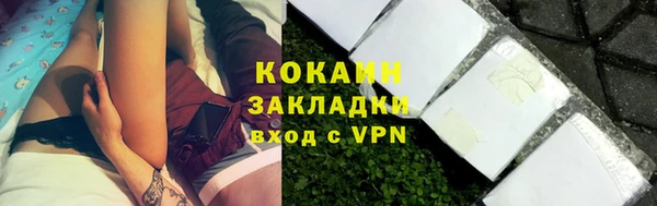 стафф Корсаков