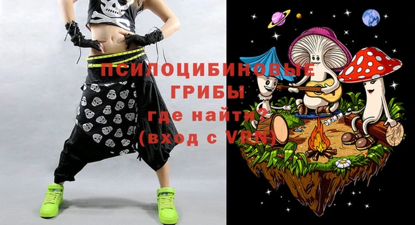 хмурый Козловка