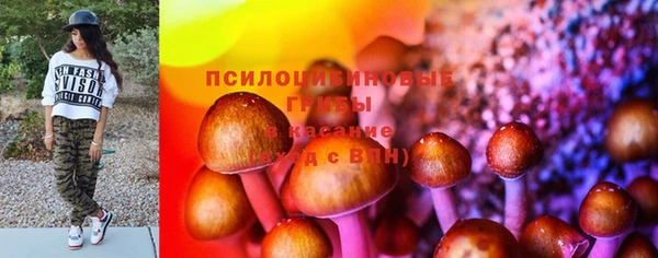хмурый Козловка