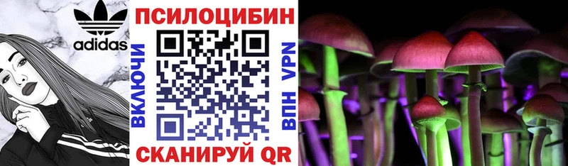 Галлюциногенные грибы мицелий  Купить  Кировск 